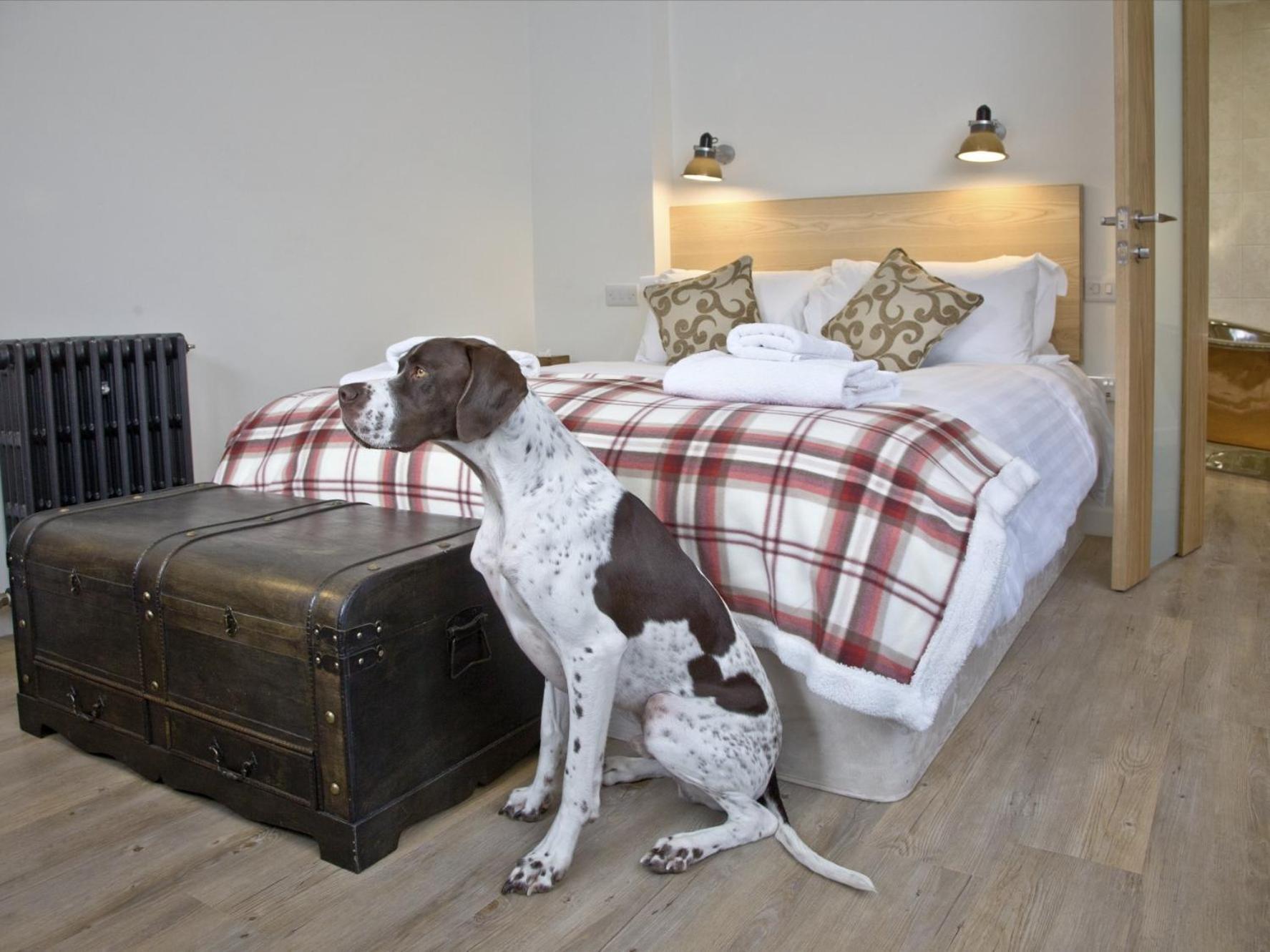 The Fortescue Inn Salcombe Ruang foto